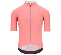 Q36.5 Dottore Pro Short Sleeve Jersey Rosa XL Uomo