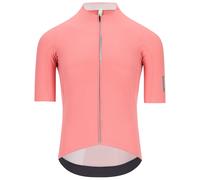 Q36.5 Dottore Pro Short Sleeve Jersey Rosa L Uomo