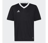 Maglia Entrada 22 Black 5-6A