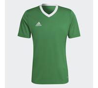 Maglia Entrada 22 Team Green / White XL