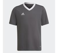Maglietta per ragazzi Adidas Kids Entrada 22 Jersey - Grigio 140 cm