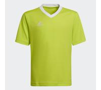 Maglia Entrada 22 Team Semi Sol Yellow 11-12A