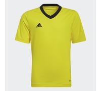 Maglia Entrada 22 Team Yellow / Black 9-10A
