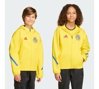 Maglia Entrada26 Kids Team Yellow / Black 3-4A