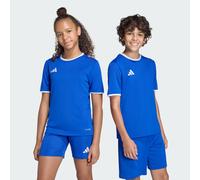 Maglia Entrada26 Royal Blue / White 9-10A