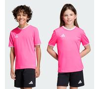 Maglia Entrada26 Solar Pink / White 5-6A