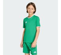 Maglia Entrada26 Team Green / White 15-16A
