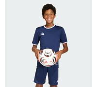 Maglia Entrada26 Team Navy Blue 2 / White 5-6A