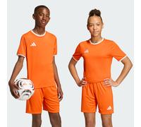 Maglia Entrada26 Team Orange / White 11-12A