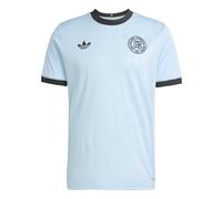 ADIDAS PERFORMANCE Maglia funzionale 'DFB 125' blu cielo / nero, Taglia L