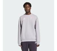 MAGLIA GIROCOLLO TEAM D XPLORIC Glory Grey M