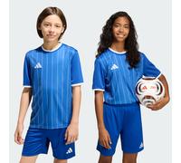 Maglia grafica Entrada26 Kids Royal Blue / White 15-16A
