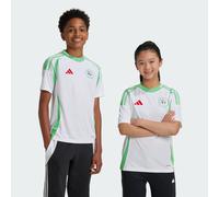 Maglia Casa bambino Algérie 2025 Blanc 13/14 anni