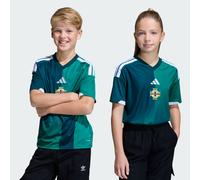 Maglia Home bambini Irlanda del Nord 26 Glory Green / White 9-10A