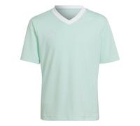 Maglia per bambini adidas Entrada 22 Vert 13/14 anni