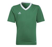 Maglia per bambini adidas Entrada 22 Vert 5/6 anni