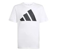 adidas Unisex - Bambini e Ragazzi Train Essentials Big Logo Shirt, White/Black, 13-14 Years