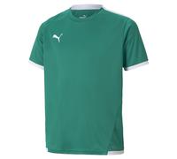 PUMA Maglia funzionale 'TeamLIGA' smeraldo / bianco Bambini PUMA 164 smeraldo / bianco
