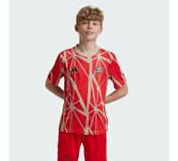 Adidas Fc Bayern Munich 24/25 Pre Match Junior Short Sleeve T-shirt Rosso 15-16 Years Bambino