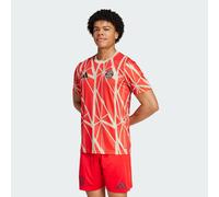 adidas Maglia Pre Match FC Bayern Monaco, Red L