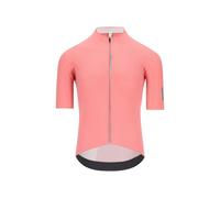 Q36.5 Dottore Pro Short Sleeve Jersey Rosa XL Uomo