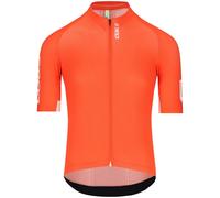 Maglia Q36.5 Gregarius Pro Signature - Rosso XL / Rosso