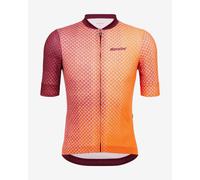 Maglia Santini Paws Form manica corta arancio - Slim fit - 3XL