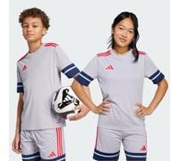 Maglia Squadra 25 Kids Glory Grey / Team Navy Blue 2 / Pure Ruby 11-12A