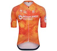 Maglia SQUADRA NAZIONALE OLANDESE 2025 arancione XL