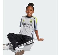 Maglia Third 24/25 Junior Benfica Light Solid Grey 15-16A