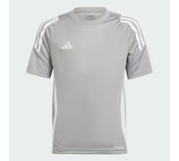 Maglia Tiro 24 Junior Team Mid Grey / White 11-12A