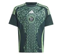 Maglia Trasferta Bambino Algérie 2025 Vert 9/10 anni