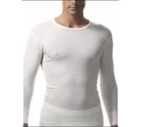 RAGNO: maglia intima uomo 100% pura lana merino manica lunga calda inverno 60039