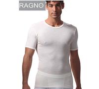 Maglia uomo Sintonia Ragno lana cotone mezza manica girocollo 065457 AA29