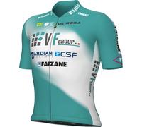 Maglia VF GROUP-BARDIANI CSF-FAIZANÈ 2024 verde/bianco XL