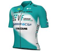 Maglia VF GROUP-BARDIANI CSF-FAIZANÈ 2025 verde/bianco S