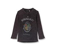 Maglietta a Maniche Lunghe per Bambini Harry Potter Grigio Scuro