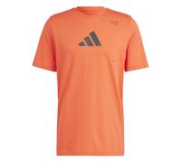 Maglietta adidas All Gym Category Graphic Rosso 2XL