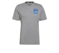 Maglietta adidas Terrex Patch Mountain Graphic Grigio M