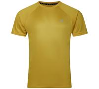 Maglietta da uomo Dare 2b Accelerate Tee Taglia: L / Colore: verde/giallo