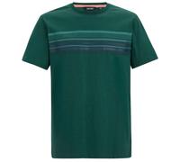 Maglietta da uomo Regatta Rendro Taglia: 5XL / Colore: verde