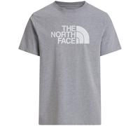 Maglietta da uomo The North Face Evolution Half Dome Regular Short Slee Taglia: XL / Colore: grigio