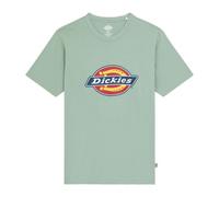 Maglietta dickies icon logo verde ghiaccio