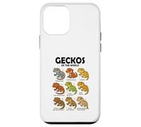 Maglietta Geckos of the World Rettili Lucertole Design Custodia per iPhone 12 mini