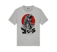 Maglietta Godzilla Kaijū Re dei Mostri Japan ゴジラ Film Toho Godzilla Unisex T-Shirt (IT, Testo, M, Regular, Regular, Grizzed Grey)