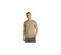 Icebreaker Merino 150 Tech Lite Short Sleeve T-shirt Marrone XL Uomo