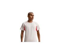 Maglietta nike acg wildsee beige rossa da uomo