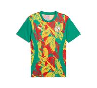 PUMA Maglia Pre Match Senegal, Green L