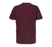 Maglietta t-shirt dikies mapleton marrone Dickies