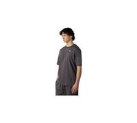 Maglietta the north face graphic dome flower uomo grigio